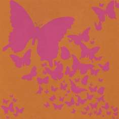 Wings: click to enlarge