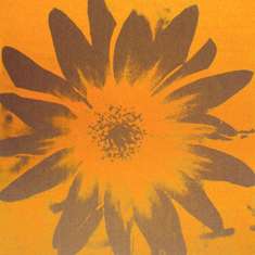 Graphic Flower: click to enlarge