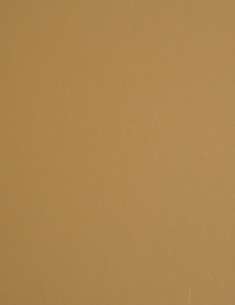 Butternut Orange: click to enlarge