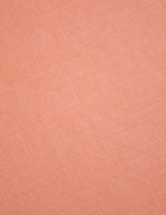 Mango Orange : click to enlarge