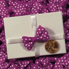 Fuchsia Itty Bitty Bow: click to enlarge