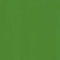 Shamrock Green Glossy: click to enlarge