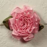  Pink Ribbon Carnations