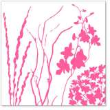 Pink Twigs & Weeds